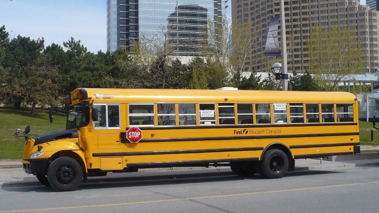 school bus traffic rules ontario